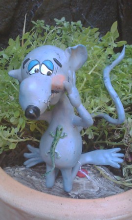 Ratoncito 6